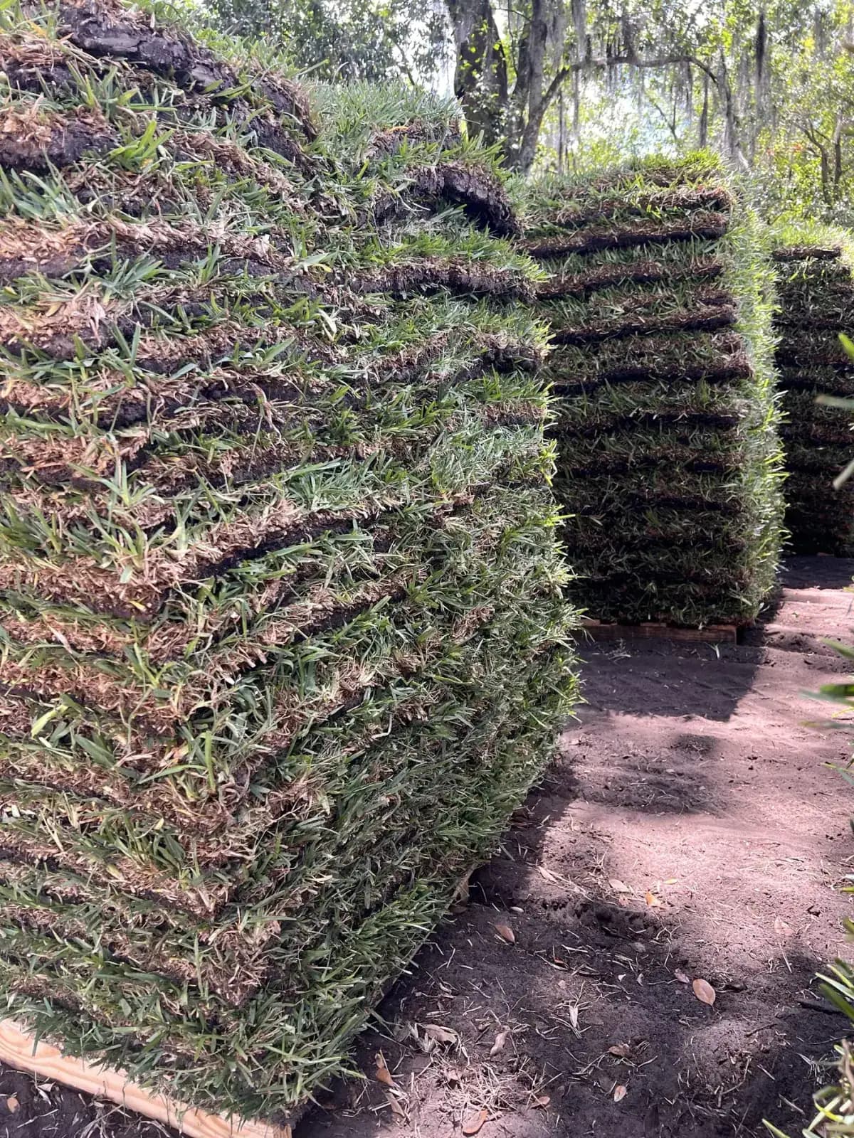 Cut Sod-X sod pieces stacked at the yard, each piece sized to the square foot